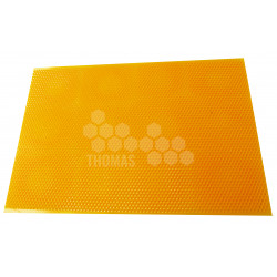 PLAQUE GAUFREE DDT CORPS PLASTIQUE ORANGE