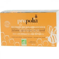 PROPOLIA - INFUSION BIO APRÈS-REPAS (20 SACHETS DE 1.5 G)