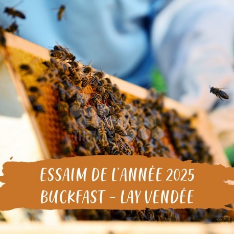 ESSAIM DE L'ANNEE BUCK/NOIRE SELECTION VENDEE 5 C DDT -Liv. Pornic 44