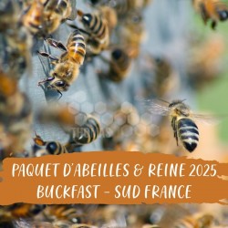 PAQUET ABEILLES & REINE - BUCKFAST SUD FRANCE - Liv Pornic 44