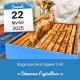 STAGE APICOLE GIGEAN - DEMARRER L'APICULTURE