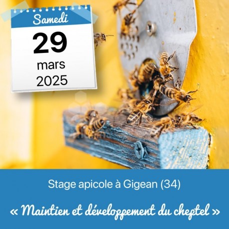 STAGE APICOLE GIGEAN - MAINTIEN ET DEVELOPPEMENT DU CHEPTEL