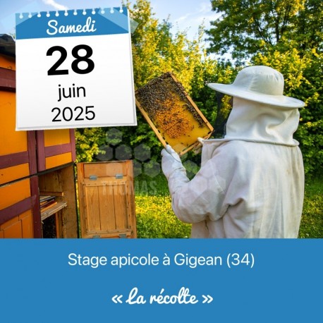 STAGE APICOLE GIGEAN - MAINTIEN ET DEVELOPPEMENT DU CHEPTEL