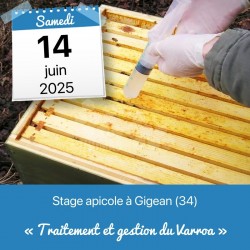 STAGE APICOLE GIGEAN - SANITAIRE ET PATHOLOGIES DE L'ABEILLE