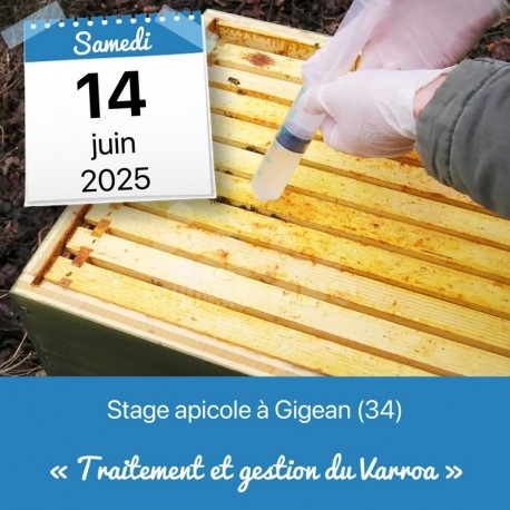 STAGE APICOLE GIGEAN - SANITAIRE ET PATHOLOGIES DE L'ABEILLE