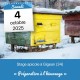 STAGE APICOLE GIGEAN - PREPARATION A L'HIVERNAGE