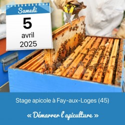 STAGE APICOLE FAY - DEMARRER L'APICULTURE