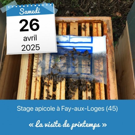 STAGE APICOLE FAY - LA VISITE DE PRINTEMPS