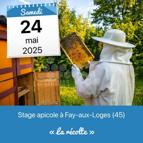 STAGE APICOLE FAY - LA RECOLTE