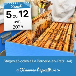 STAGE APICOLE PORNIC - DEMARRER L'APICULTURE