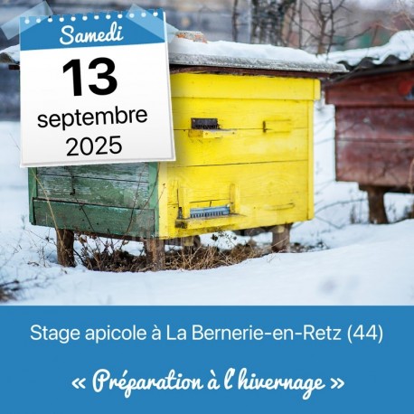 STAGE APICOLE PORNIC - PREPARATION A L'HIVERNAGE