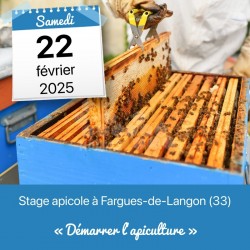 Stage apicole - Démarrer l'apiculture - Fargues-de-Langon (33)